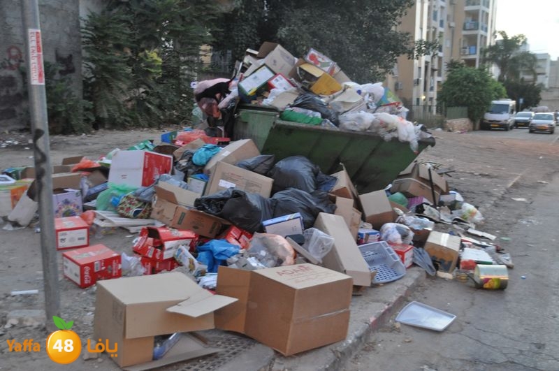 trash lud 907 (3).JPG